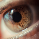 Illustration for article titled Shooting Challenge Eye Gallery 2